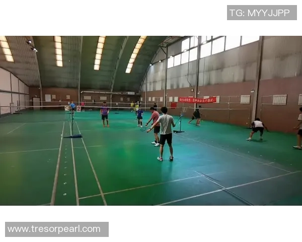 羽毛球场上的传奇旅程：刘军的奋斗与梦想分享