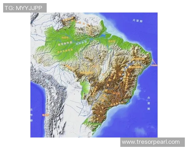 荷兰足球明星的辉煌历程与他们在世界足坛的影响力分析